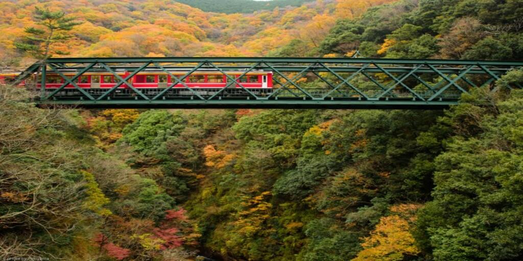 おすすめ3選 赤ちゃんと行く箱根旅行 パパママ Com